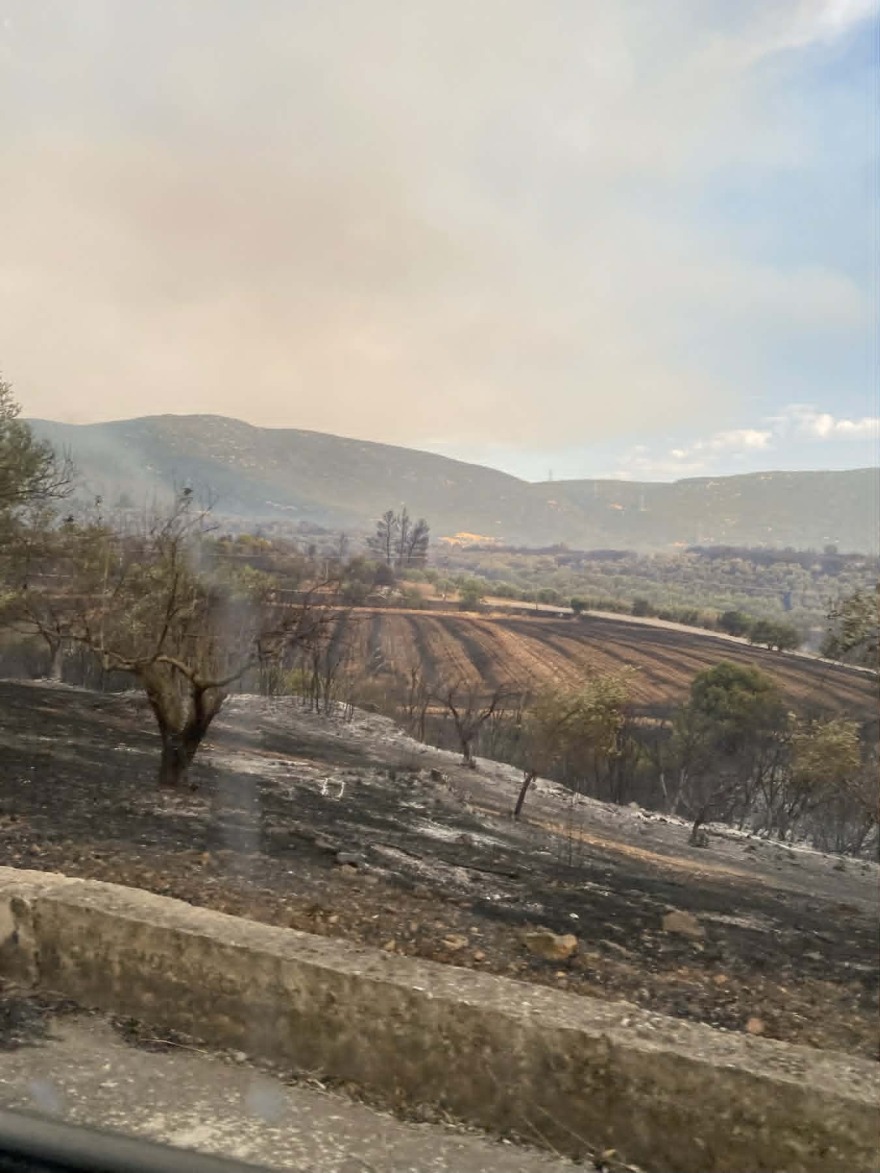 Καλύτερη η εικόνα της φωτιάς στο Καλαπόδι Φθιώτιδας, δείτε βίντεο και φωτογραφίες