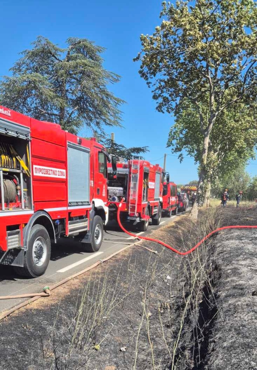Σε δύο δασικές πυρκαγιές από την πρώτη κιόλας ημέρα επιχείρησαν οι Έλληνες πυροσβέστες στη Γαλλία
