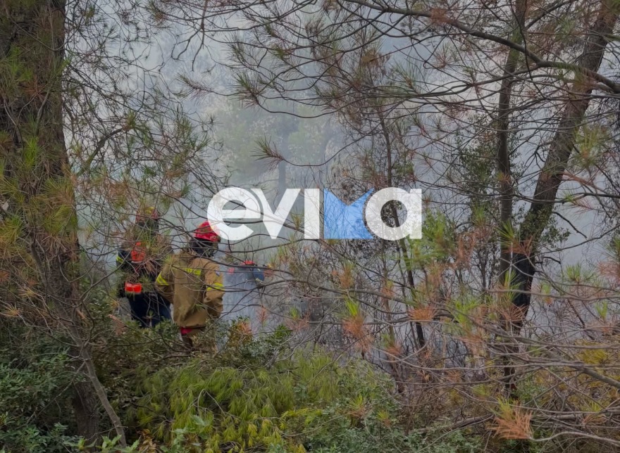 Φωτιά σε δασική έκταση στην Εύβοια, πιθανότατα προκλήθηκε μετά από πτώση κεραυνού 
