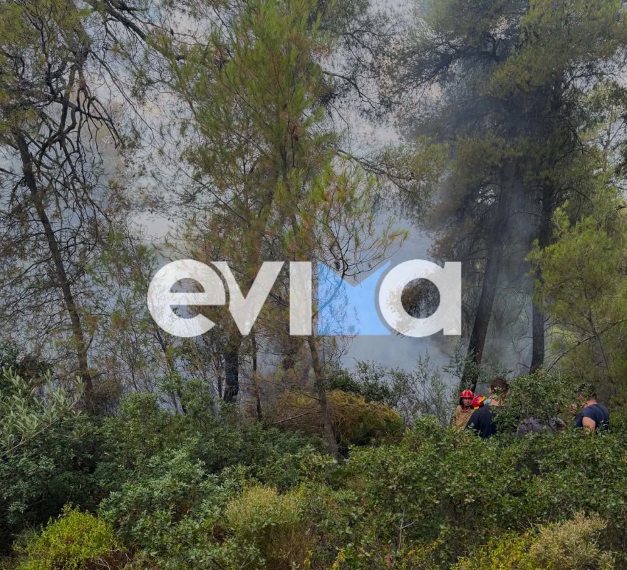 Φωτιά σε δασική έκταση στην Εύβοια, πιθανότατα προκλήθηκε μετά από πτώση κεραυνού 
