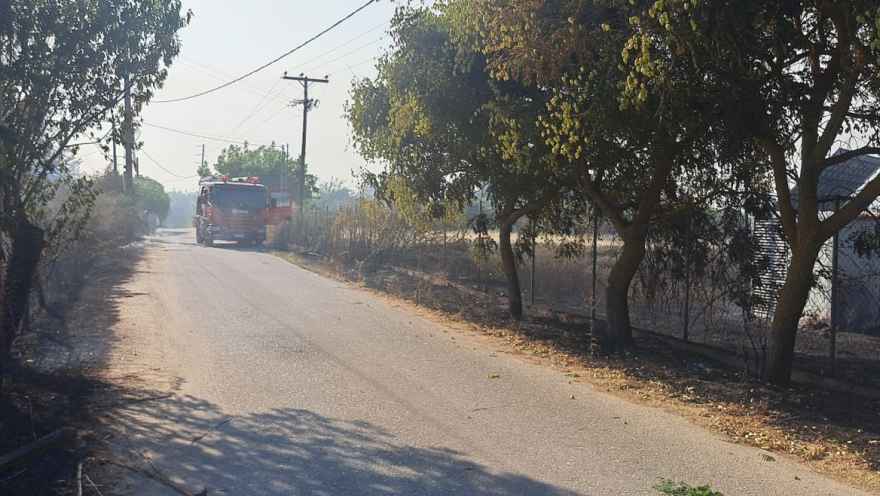 Οριοθετήθηκε η φωτιά στη Σουρωτή Θεσσαλονίκης
