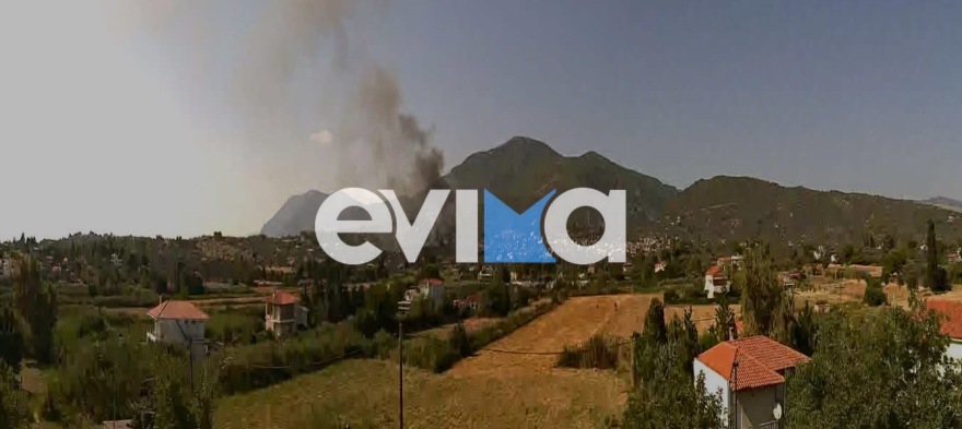 Φωτιά σε δάσος στα Πολιτικά Εύβοιας- Σηκώθηκαν και εναέρια 5 Φωτιά τώρα σε δάσος στα Πολιτικά Εύβοιας, σηκώθηκαν 5 εναέρια, δείτε φωτογραφίες