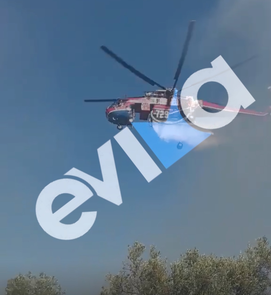Φωτιά στην Εύβοια