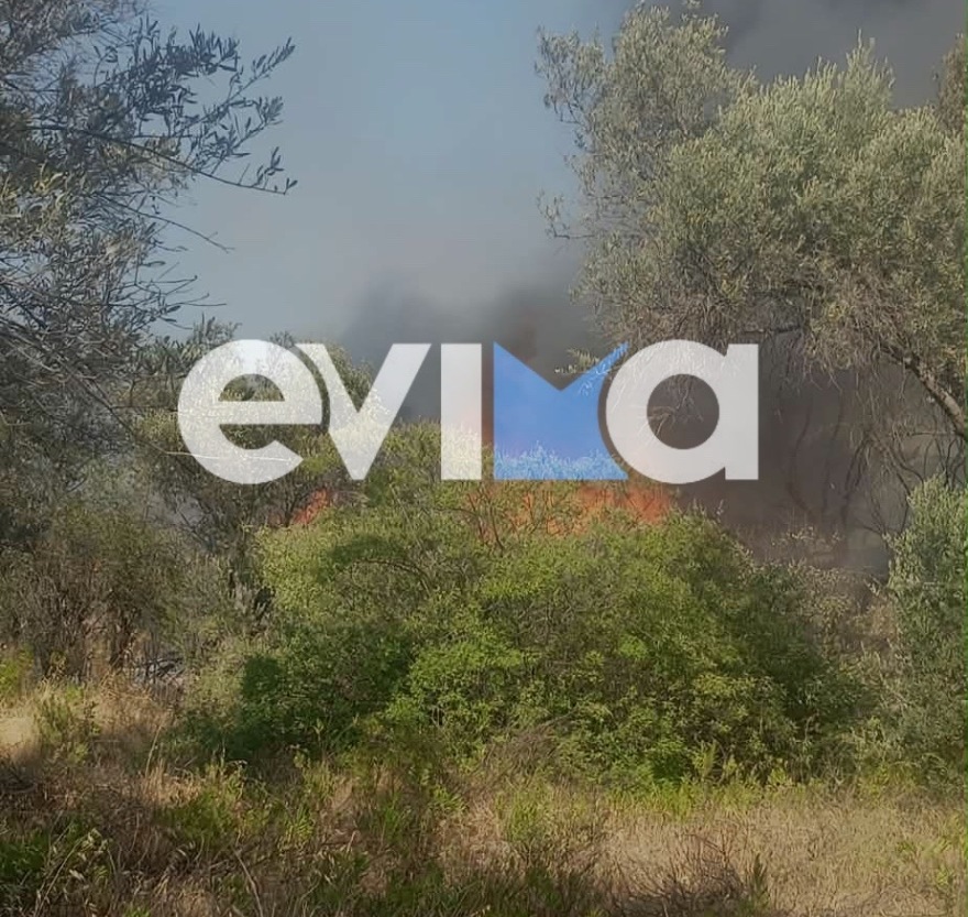 Φωτιά σε δάσος στα Πολιτικά Εύβοιας- Σηκώθηκαν και εναέρια 4 Φωτιά τώρα σε δάσος στα Πολιτικά Εύβοιας, σηκώθηκαν 5 εναέρια, δείτε φωτογραφίες