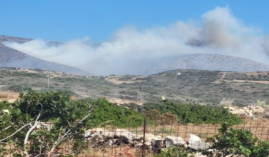 fotia-paro-tora__1_