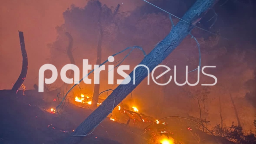 Πύργος: Χωρίς ενεργό μέτωπο η μεγάλη φωτιά στην Αλφειούσα