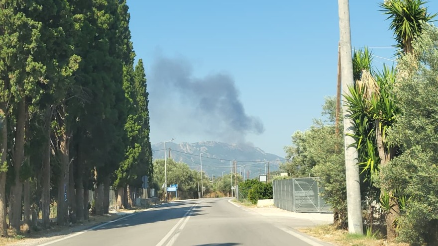 Φωτιά στην Τροιζήνα 4 Φωτιά σε γεωργική έκταση στην Τροιζήνα