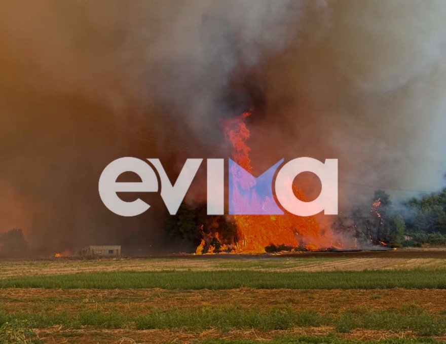 Φωτιά σε δασική έκταση στη Μακρυκάπα της Εύβοιας, 112 για εκκένωση της Τριάδας, επιχειρούν 5 εναέρια 
