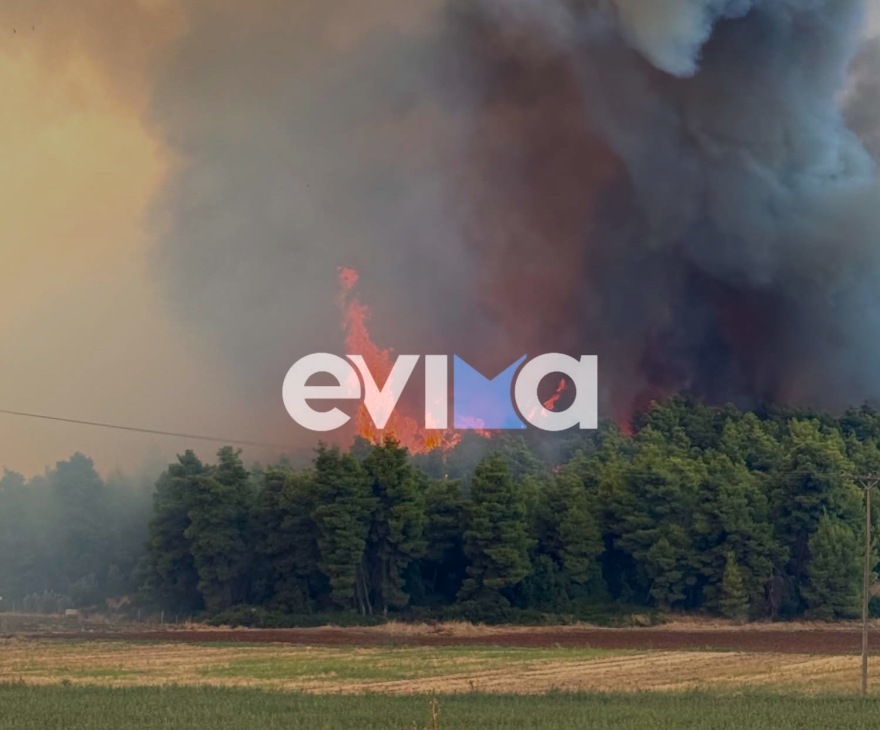 Φωτιά σε δασική έκταση στη Μακρυκάπα της Εύβοιας, 112 για εκκένωση της Τριάδας, επιχειρούν 5 εναέρια 
