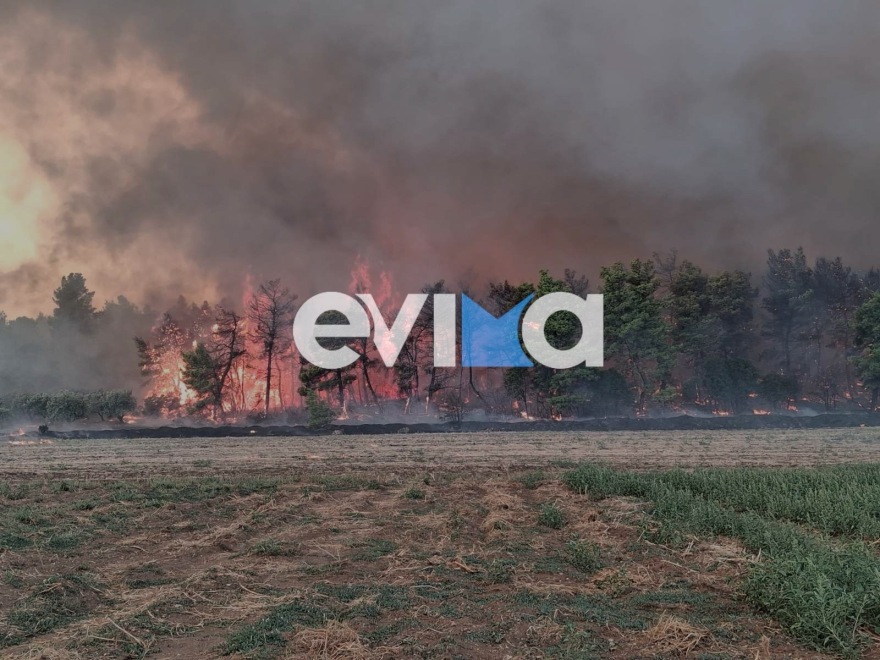 Βελτιωμένη εικόνα στη μεγάλη φωτιά στη Μακρυκάπα Εύβοιας, επιχειρούν 13 εναέρια, δείτε βίντεο 
