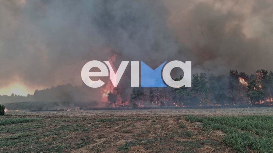 Βελτιωμένη εικόνα στη μεγάλη φωτιά στη Μακρυκάπα Εύβοιας, επιχειρούν 13 εναέρια, δείτε βίντεο 
