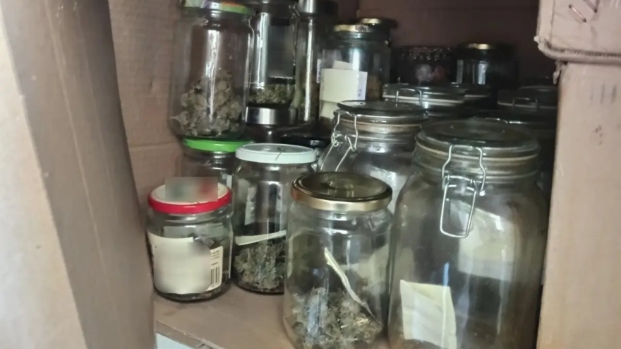 Ηράκλειο: Μία σύλληψη για καλλιέργεια χασισόδεντρων και κατοχή ναρκωτικών