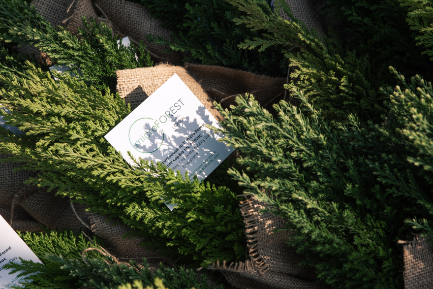 Πώς ένα micro Forest στην καρδιά της Αθήνας μπορεί να βελτιώσει τη ζωή στην πόλη