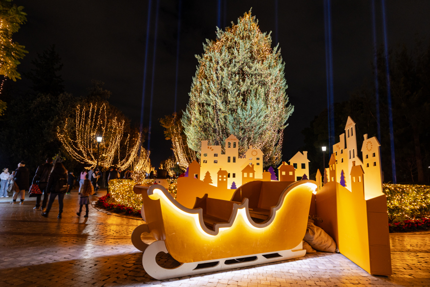 Χριστούγεννα γεμάτα φως και χαρά στο ανανεωμένο Πεδίον του Άρεως!