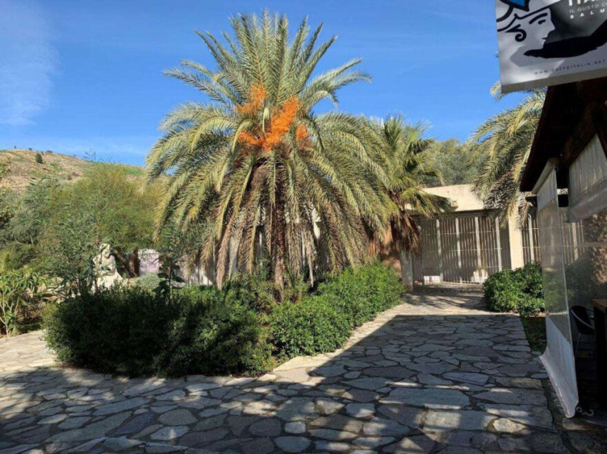 Υπουργείο Πολιτισμού: Αναβαθμίζονται οι διαδρομές και η προσβασιμότητα στον αρχαιολογικό χώρο της Γόρτυνας