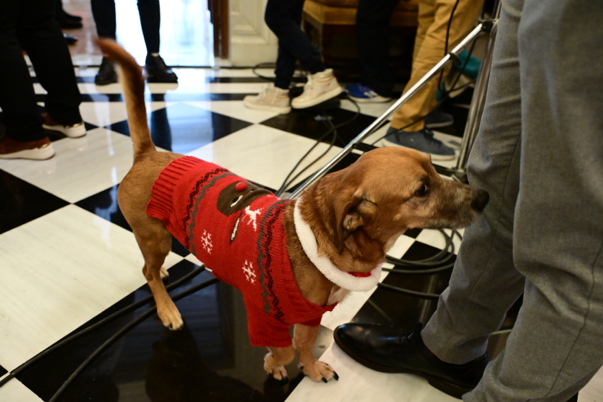 Κυριάκος Μητσοτάκης: Ακουσε τα κάλαντα με την οικογένειά του στο Μέγαρο Μαξίμου