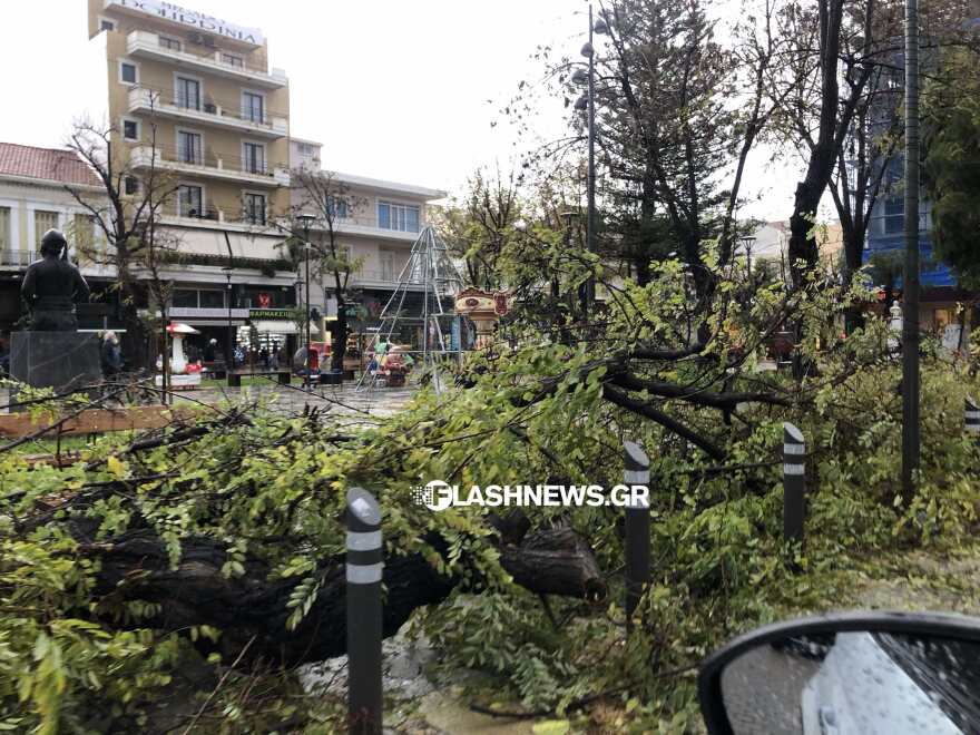 Χανιά: Πτώσεις δέντρων και κατολισθήσεις από την κακοκαιρία Elena - Δείτε φωτογραφίες