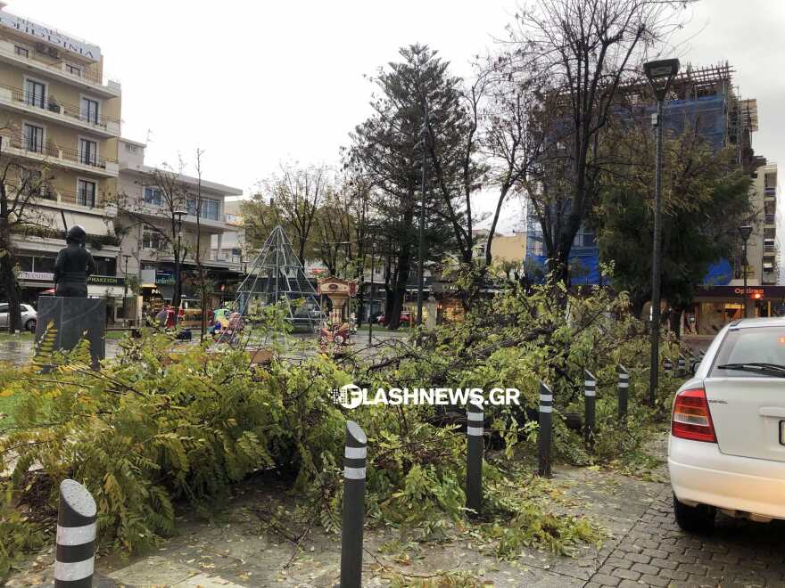 Χανιά: Πτώσεις δέντρων και κατολισθήσεις από την κακοκαιρία Elena - Δείτε φωτογραφίες