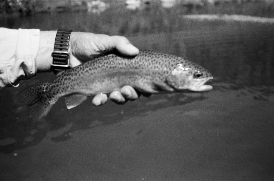 Κλόι Γκρέις Μορέτζ: Αρραβωνιάστηκε την Κέιτ Χάρισον - Δείτε τη φωτογραφία που δημοσίευσε