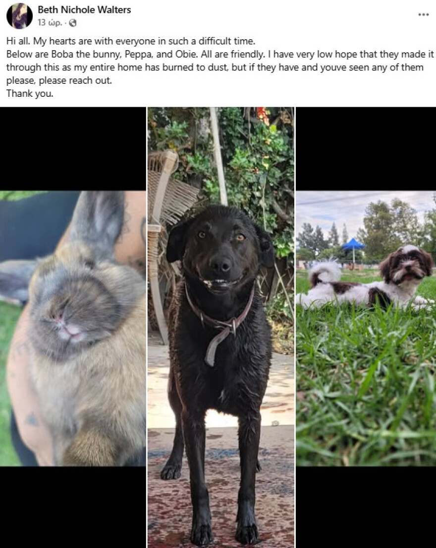 Βίντεο με πυροσβέστη να σβήνει τη φωτιά παρηγορώντας χαμένο σκύλο στην Καλιφόρνια