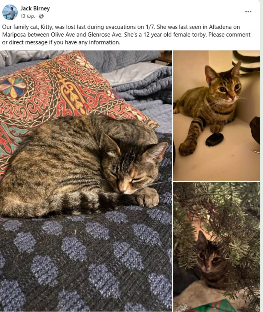 Βίντεο με πυροσβέστη να σβήνει τη φωτιά παρηγορώντας χαμένο σκύλο στην Καλιφόρνια