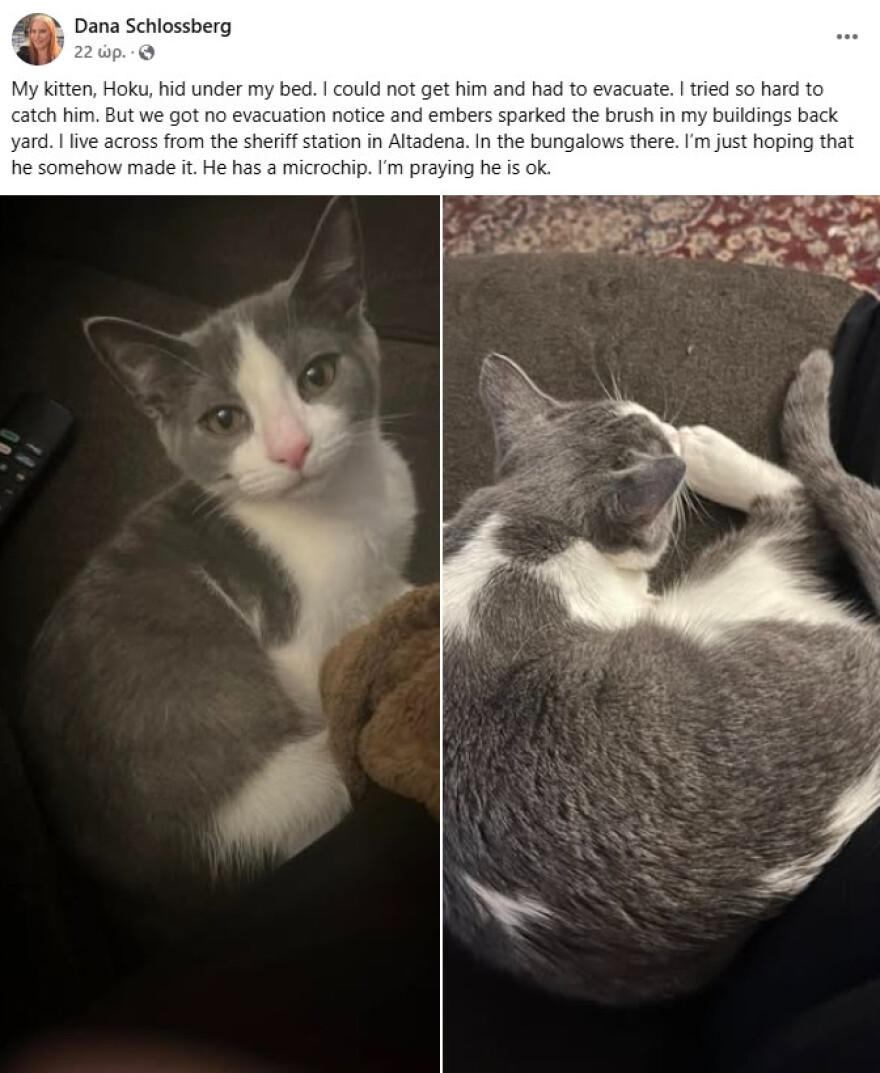 Βίντεο με πυροσβέστη να σβήνει τη φωτιά παρηγορώντας χαμένο σκύλο στην Καλιφόρνια