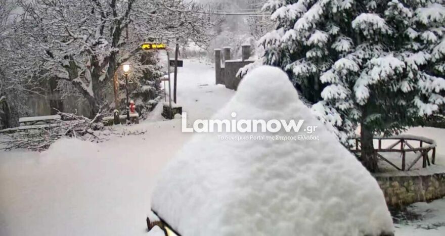 Χωριό της Λαμίας έχει βυθιστεί στο χιόνι - Αδύνατη η πρόσβαση 