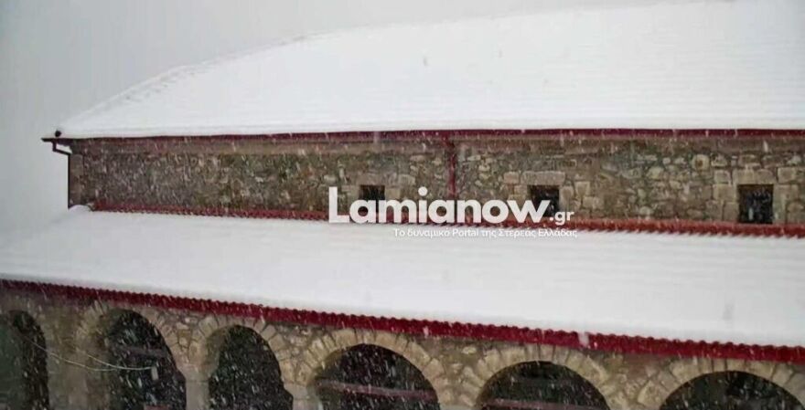 Χωριό της Λαμίας έχει βυθιστεί στο χιόνι - Αδύνατη η πρόσβαση 