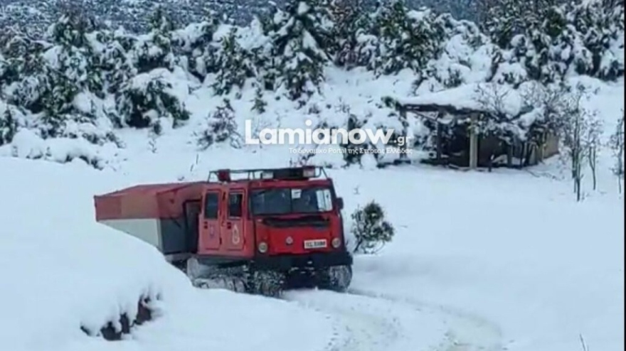 Ξεπερνά τους 80 πόντους το χιόνι σε περιοχές της Λαμίας - Επιχείρηση μεταφοράς κτηνοτρόφου