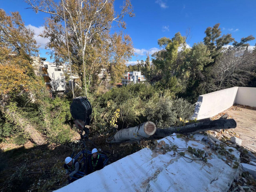 Λεύκα 20 μέτρων έπεσε πάνω σε σπίτι στη ρεματιά Χαλανδρίου - Δείτε φωτογραφίες