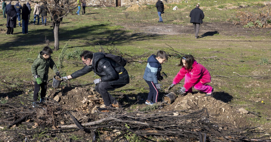 Εθελοντική αναδάσωση της Ιεράς Μονής Πεντέλης  από τους εργαζομένους της Nova
