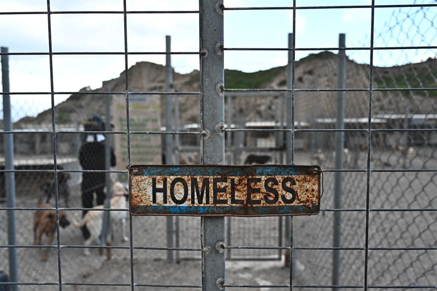 Σαντορίνη: Εθελοντές συνεχίζουν να φροντίζουν τα αδέσποτα και κακοποιημένα ζώα παρά τους σεισμούς