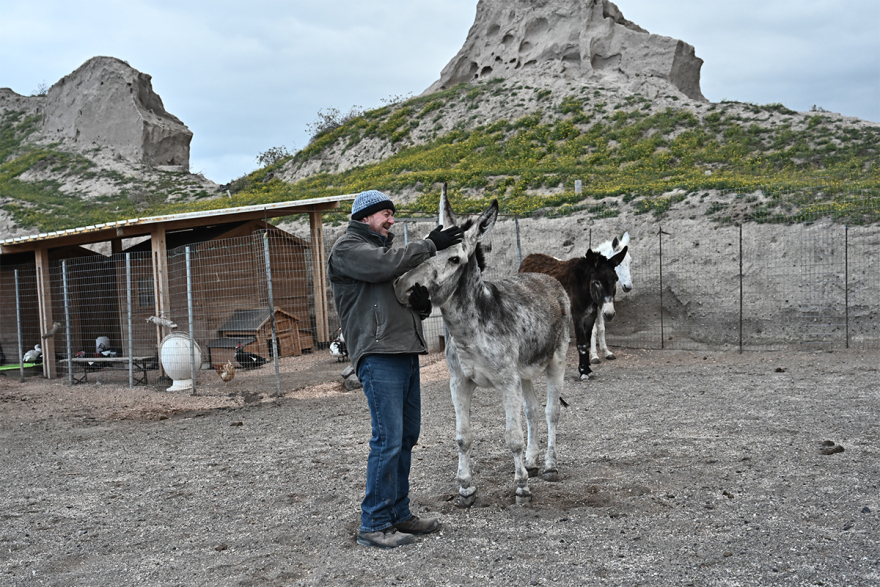 Σαντορίνη: Εθελοντές συνεχίζουν να φροντίζουν τα αδέσποτα και κακοποιημένα ζώα παρά τους σεισμούς