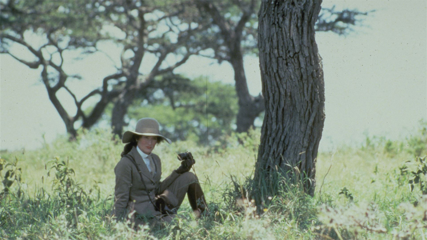 Novalifε: Ολοήμερο αφιέρωμα στον έρωτα και στη Valentine’s Day με back-to-back ταινίες! 