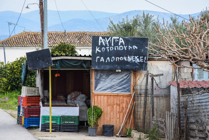 Ληστής έπεσε νεκρός μετά από συμπλοκή με 72χρονη σε χωριό του Ναυπλίου