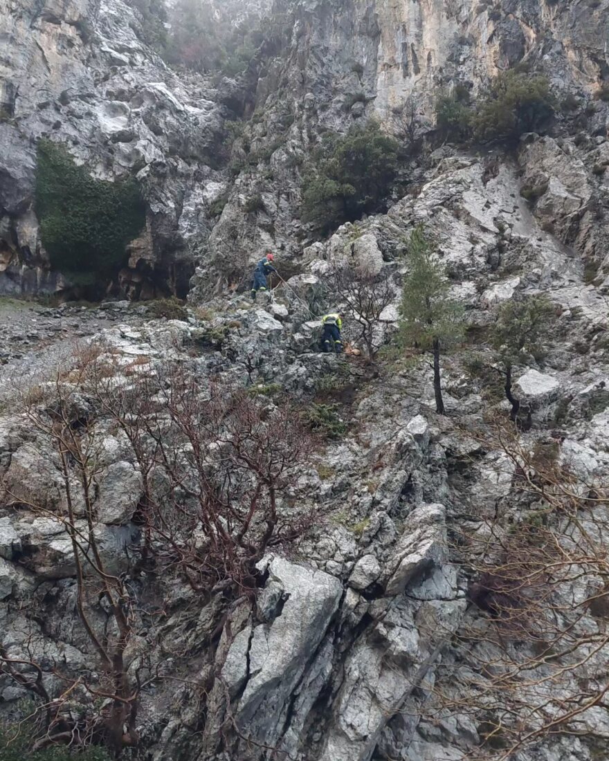 Διάσωση σκύλου που έπεσε σε χαράδρα στο φαράγγι της Αγάλης - Δείτε φωτογραφίες και βίντεο