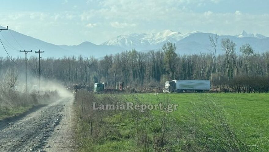 Εργατικό ατύχημα στον Σπερχειό: 60χρονος πήγε να κόψει «άρρωστο» πλάτανο και σκοτώθηκε από τεράστιο κλωνάρι