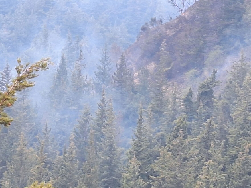 Φωτιά σε δασική έκταση σε χωριό των Χανίων, καίει σε διάσπαρτες εστίες - Ήχησε το 112