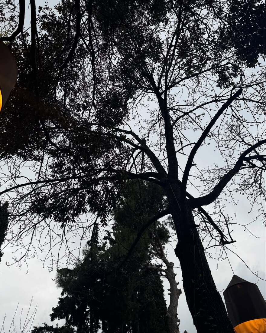 Η Δανάη Μπάρκα δημοσίευσε φωτογραφία στο Instagram από έξοδο με τον πατέρα της