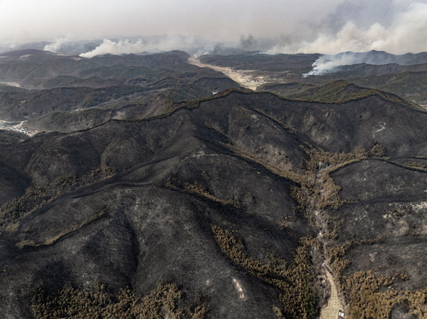 Στους 18 οι νεκροί στη Νότια Κορέα στις χειρότερες δασικές πυρκαγιές των τελευταίων ετών - Δείτε φωτογραφίες