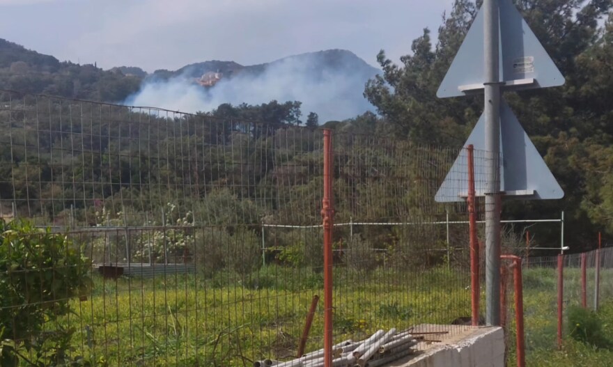 Φωτιά στη Σάμο - Ισχυρές πυροσβεστικές δυνάμεις στο σημείο, δείτε φωτογραφίες
