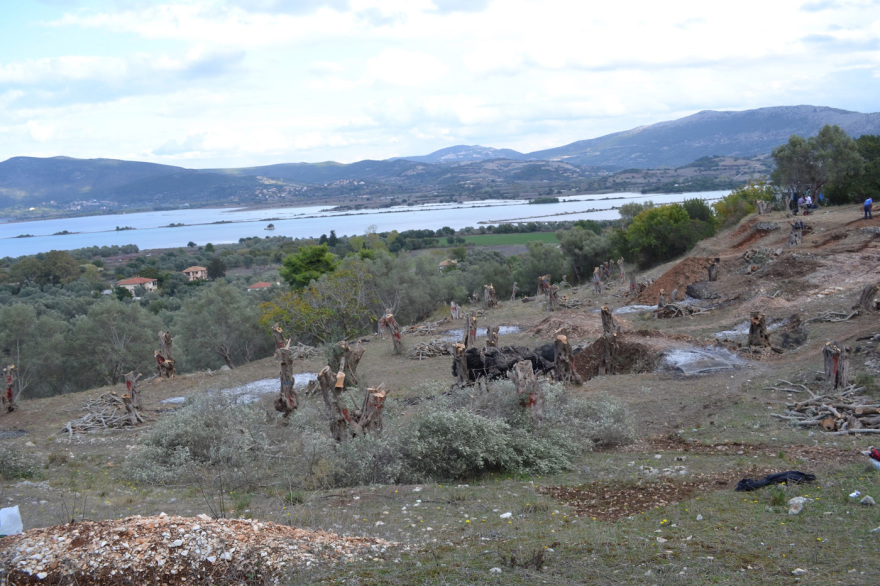 Ο εντοπισμός και η συστηματική ανασκαφή του αρχαίου θεάτρου της Λευκάδας - Δείτε φωτογραφίες 
