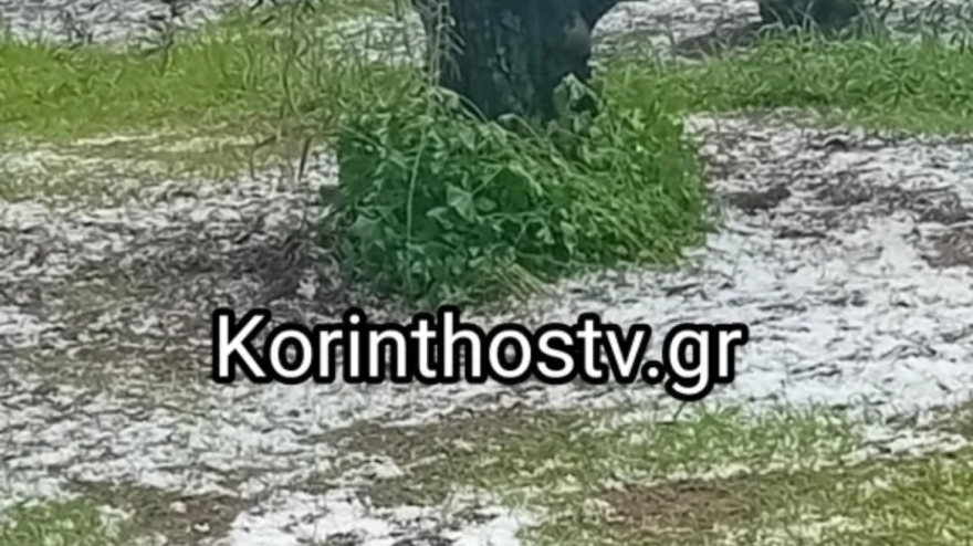 Πυκνή χαλαζόπτωση στην Κορινθία - Δείτε βίντεο και φωτογραφίες 