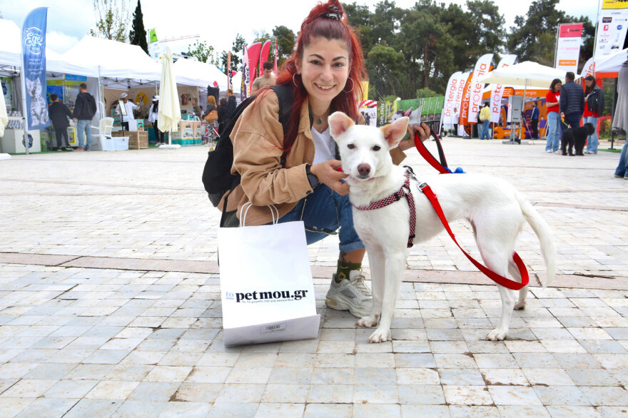 Ο Νίκος Χαρδαλιάς στη μεγάλη γιορτή για τα κατοικίδια, Woof Festival | topetmou.gr - Δείτε φωτογραφίες