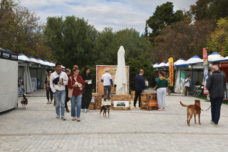 Ο Νίκος Χαρδαλιάς στη μεγάλη γιορτή για τα κατοικίδια, Woof Festival | topetmou.gr - Δείτε φωτογραφίες