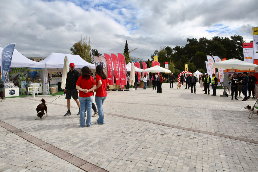 Ο Νίκος Χαρδαλιάς στη μεγάλη γιορτή για τα κατοικίδια, Woof Festival | topetmou.gr - Δείτε φωτογραφίες