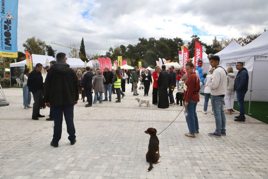 Ο Νίκος Χαρδαλιάς στη μεγάλη γιορτή για τα κατοικίδια, Woof Festival | topetmou.gr - Δείτε φωτογραφίες