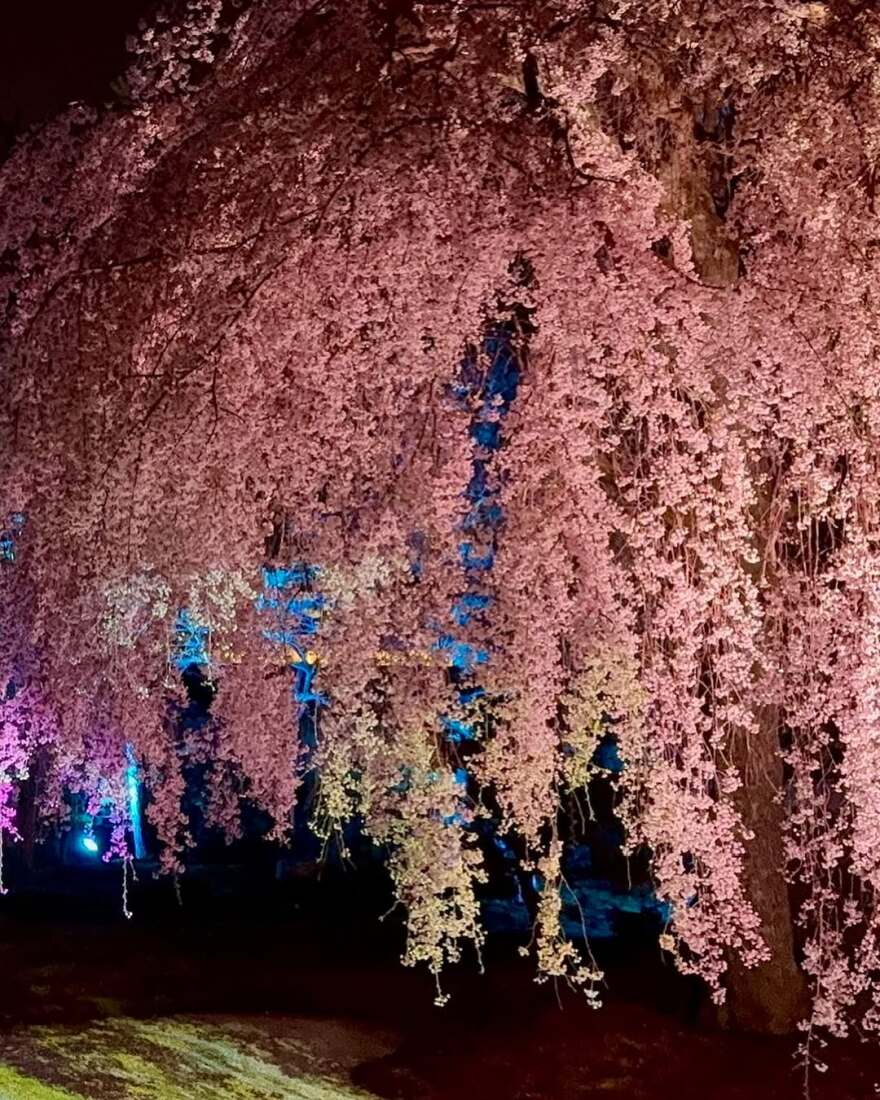 Η Αλεσάντρα Αμπρόσιο ταξίδεψε στο Τόκιο - Η γυμνή φωτογραφία μέσα στο τζακούζι