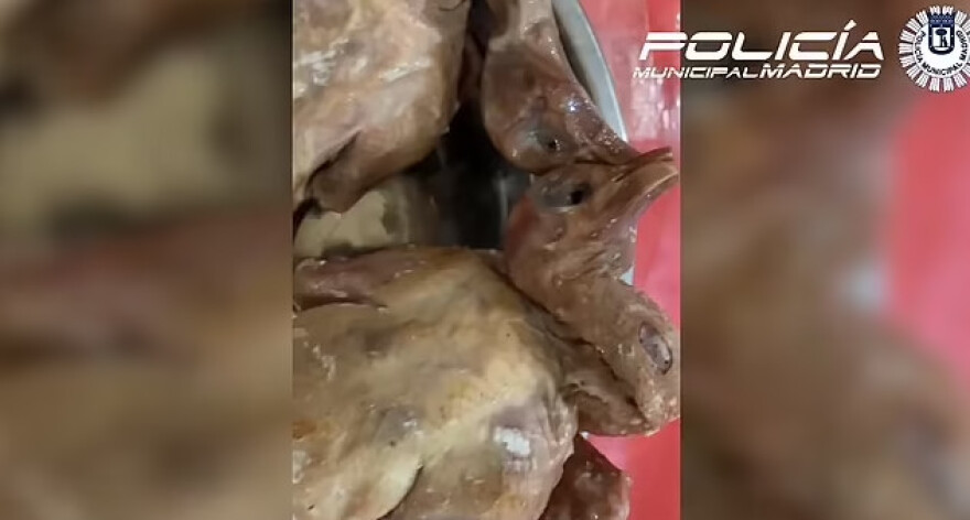 Σκάνδαλο με εστιατόριο στη Μαδρίτη – Έκλεισε επειδή πουλούσε περιστέρια για πάπιες, δείτε βίντεο