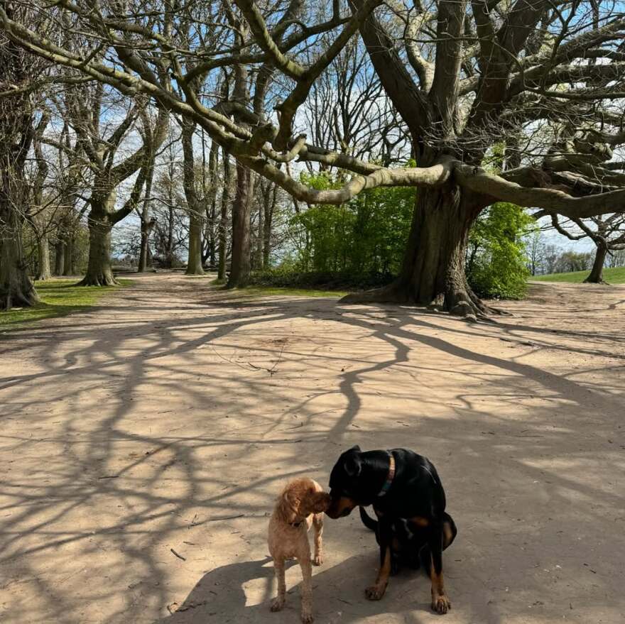 Ντούα Λίπα: Τα νέα στιγμιότυπα στο Instagram με τον αρραβωνιαστικό της